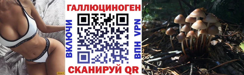 Псилоцибиновые грибы GOLDEN TEACHER  цены наркотик  MEGA сайт  Пестово 