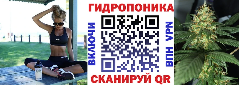 где купить наркоту  Пестово  Шишки марихуана Amnesia 